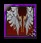 Rappelz Angel Wings icon