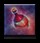 Rappelz Stage 5 Pet Potion icon