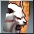 Evo-1 Lydian<Used for transformation potion> Rappelz monster portrait