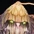 [Collection] Ent item icon
