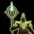 [Collection] Dark Alchemist, Saragon item icon