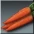 The Carrot 30 hours item icon