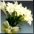 Lily Bouquet item icon