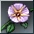Ipomoea Flower item icon