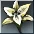 Lily item icon