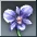 Orchid item icon