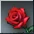 Red Rose item icon