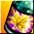 Core Maple Potion item icon