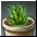 Cotyledon Pot item icon