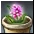Colorful Flower Pot item icon