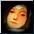 Evo-1 Harpy Transformation Potion item icon