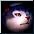 Evo-1 Wolf Transformation Potion item icon