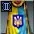 +2 Enhanced Ukraine Cloak item icon