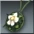 Energy of Flowers item icon
