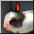 Cookie Moon Rabbit item icon