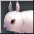 White Moon Rabbit (30 days) item icon